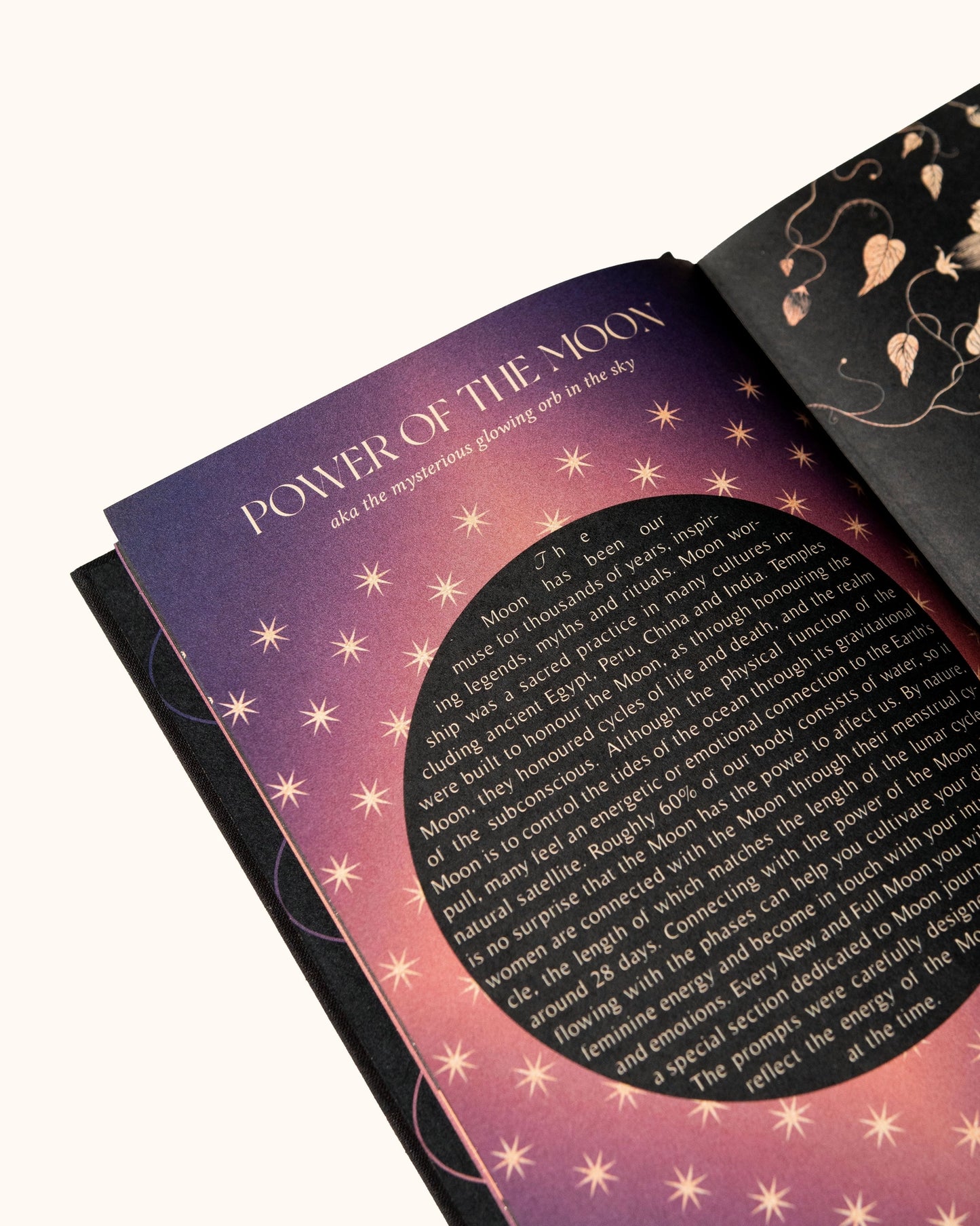 2025 Year Of Growth Self Reflective Journal Book And Planner