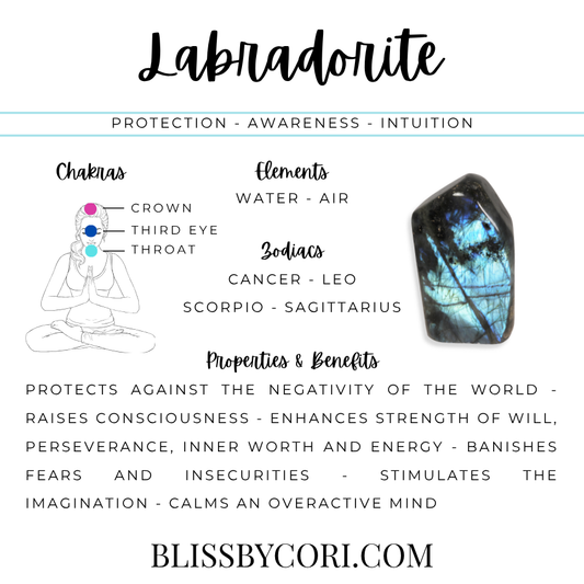 Labradorite Lariat Necklace