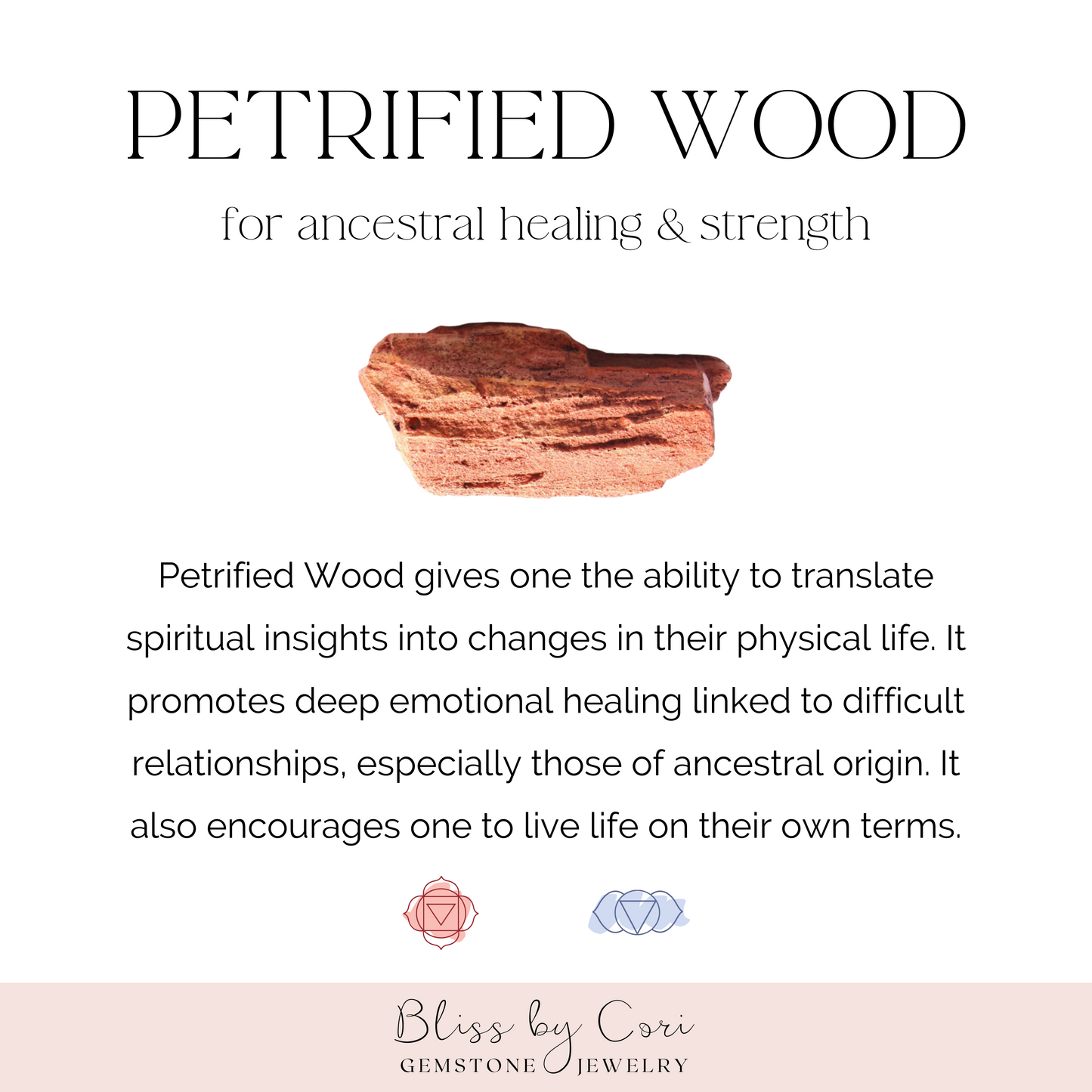 Petrified Wood Beaded Gemstone Bracelet