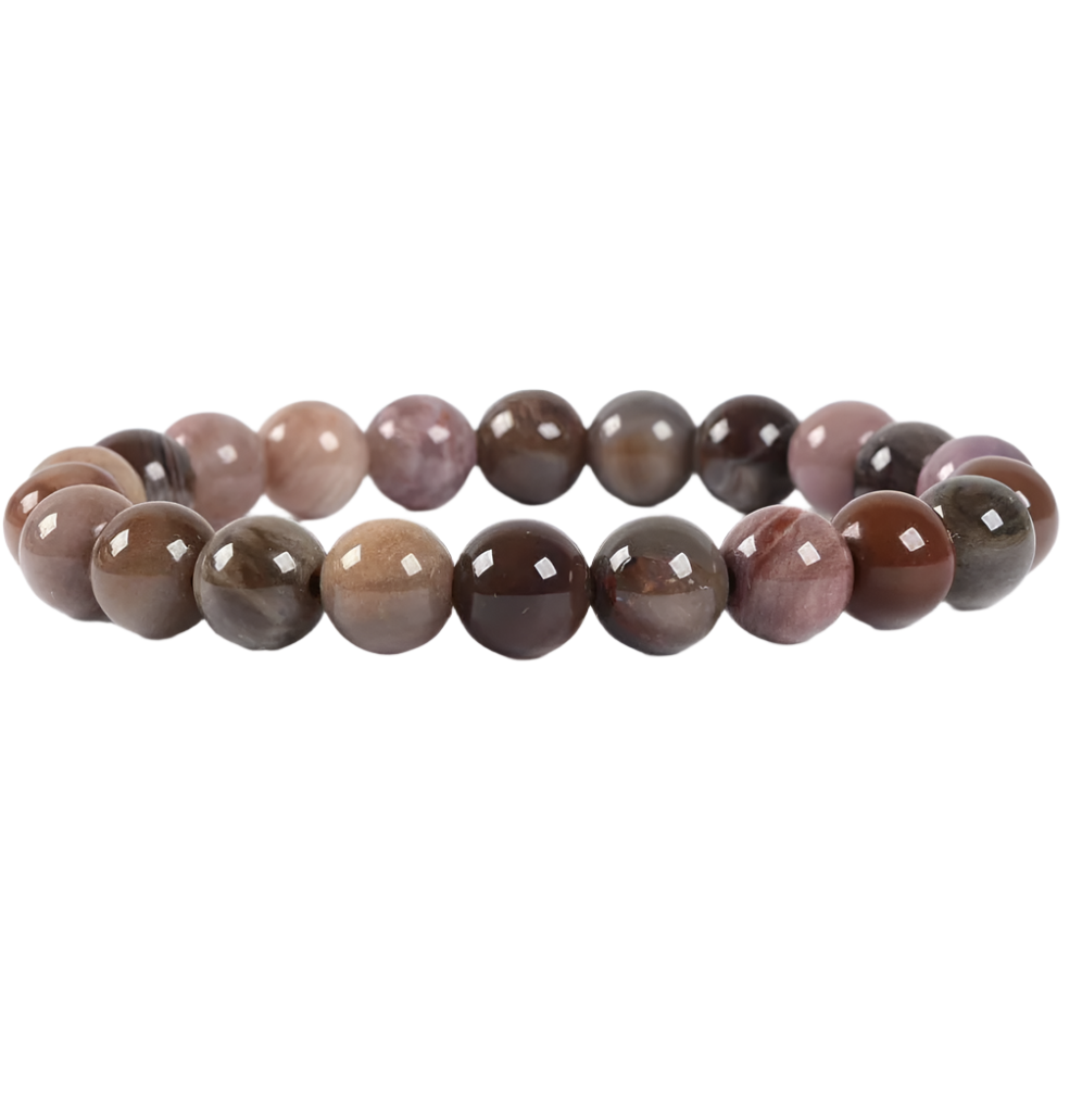 Petrified Wood Beaded Gemstone Bracelet