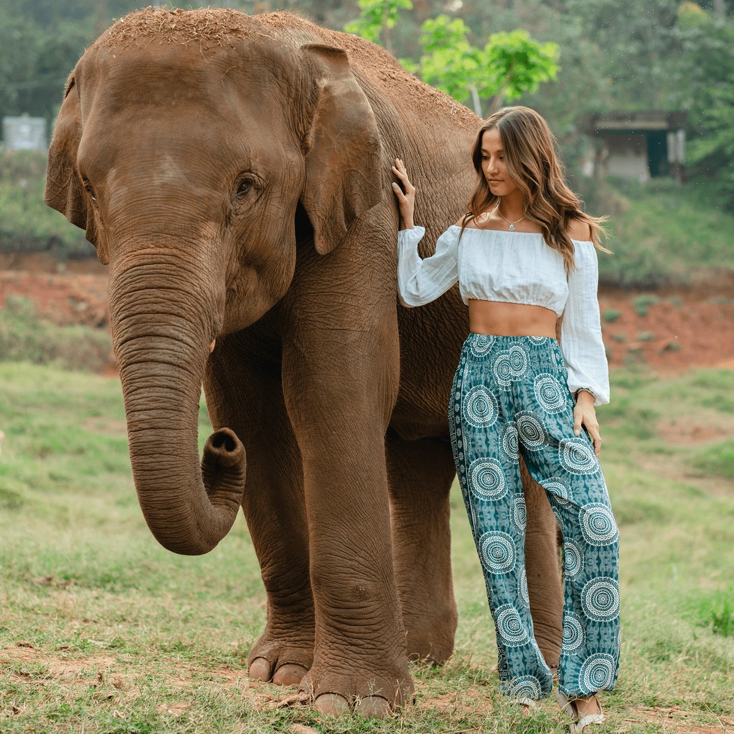 Aguadilla Harem Pants with Pockets