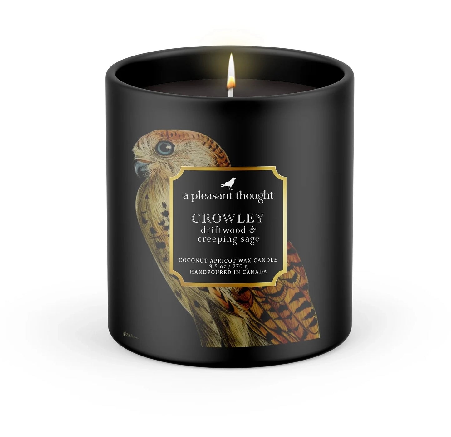 Crowley | Driftwood & Creeping Sage | Raven Candle  -  A Pleasant Thought Candle Co