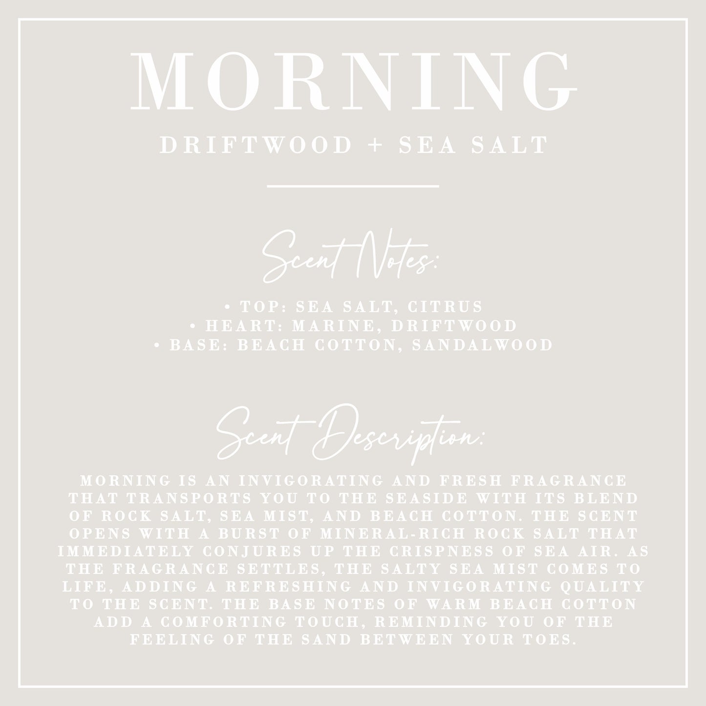 Morning | Driftwood + Sea Salt Candle | Signature Collection