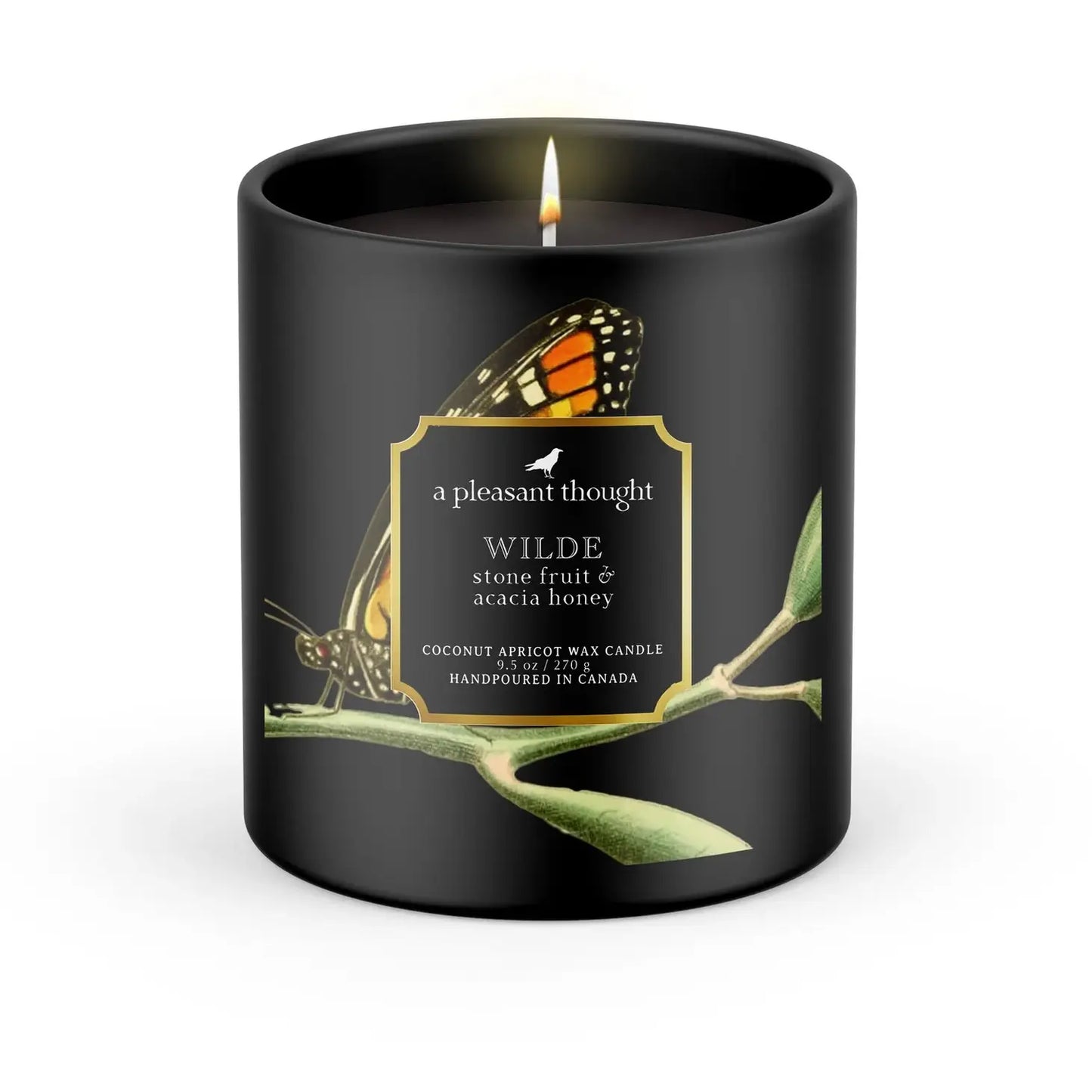 Wilde | Stone Fruit & Acacia Honey | Raven Candle -  A Pleasant Thought Candle Co