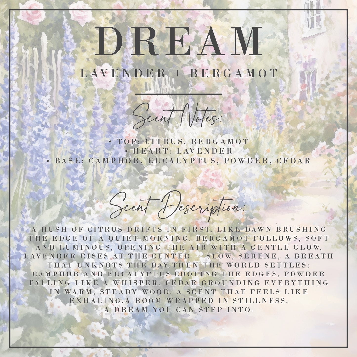Dream | Lavender + Bergamot | Signature Collection