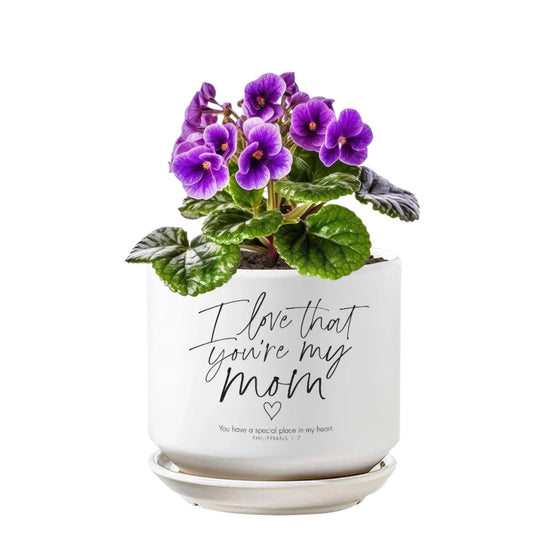 I Love That You're My Mom Planter