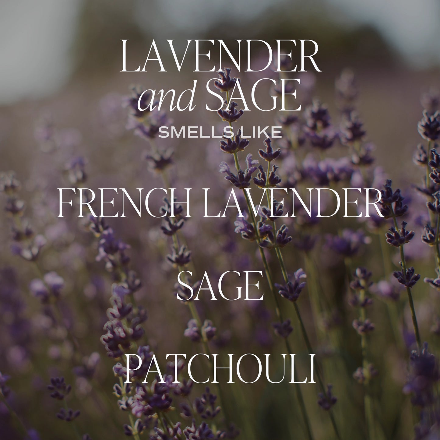 Lavender Sage 11 oz Soy Candle - Home Decor & Gifts