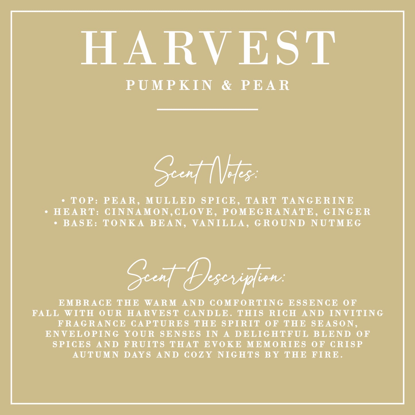 Harvest | Pumpkin + Pear Candle | Signature Collection