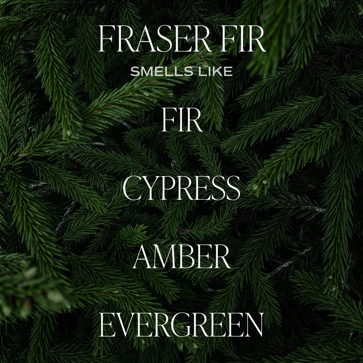 Fraser Fir 11oz Soy Candle - Home Decor & Gifts