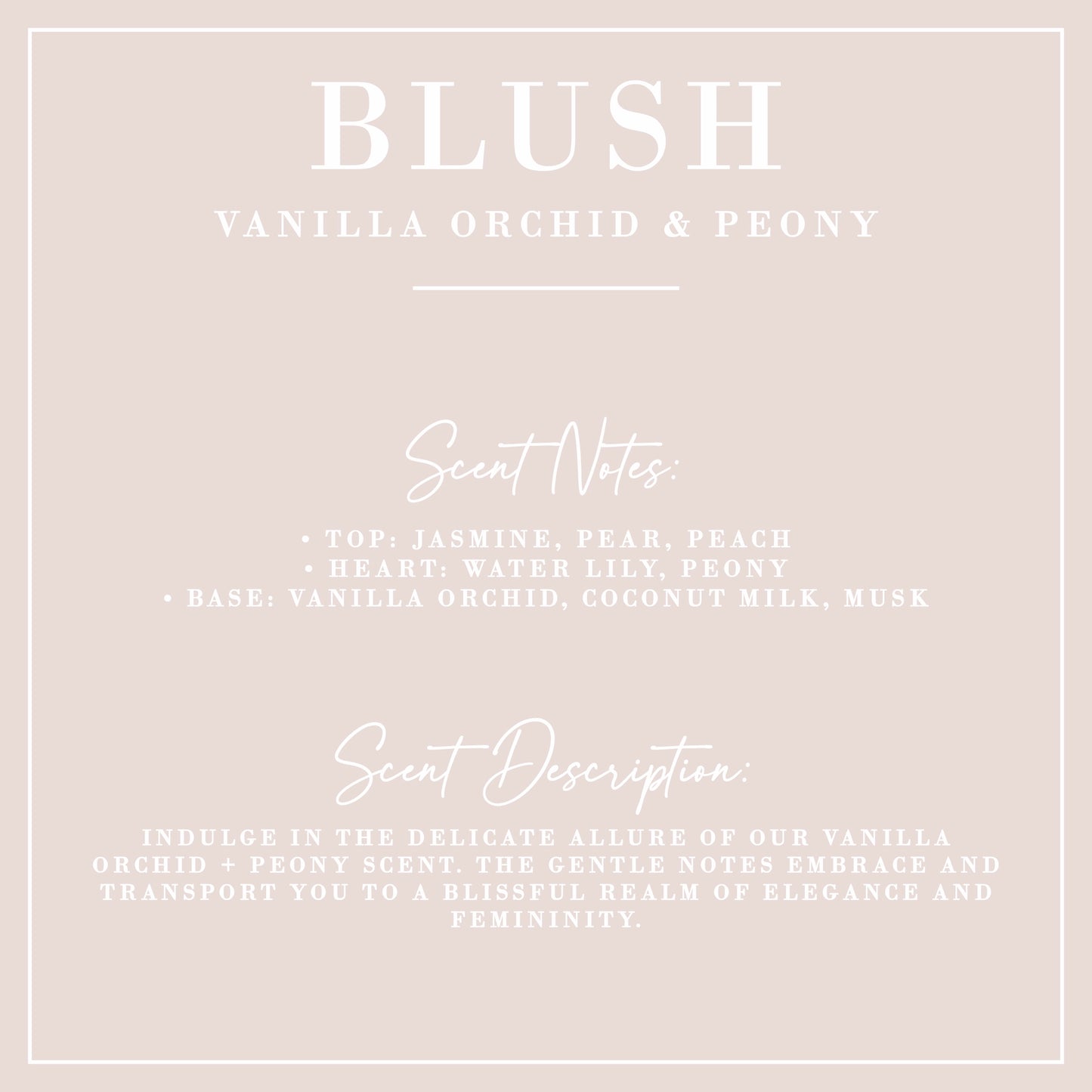 Blush | Vanilla Orchid + Peony Candle | Signature Collection